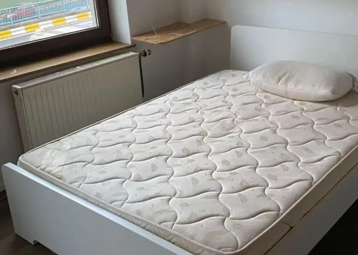 홈스테이 Lodelinsart *